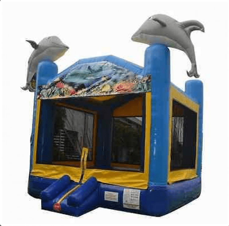 Dolphin Bouncer